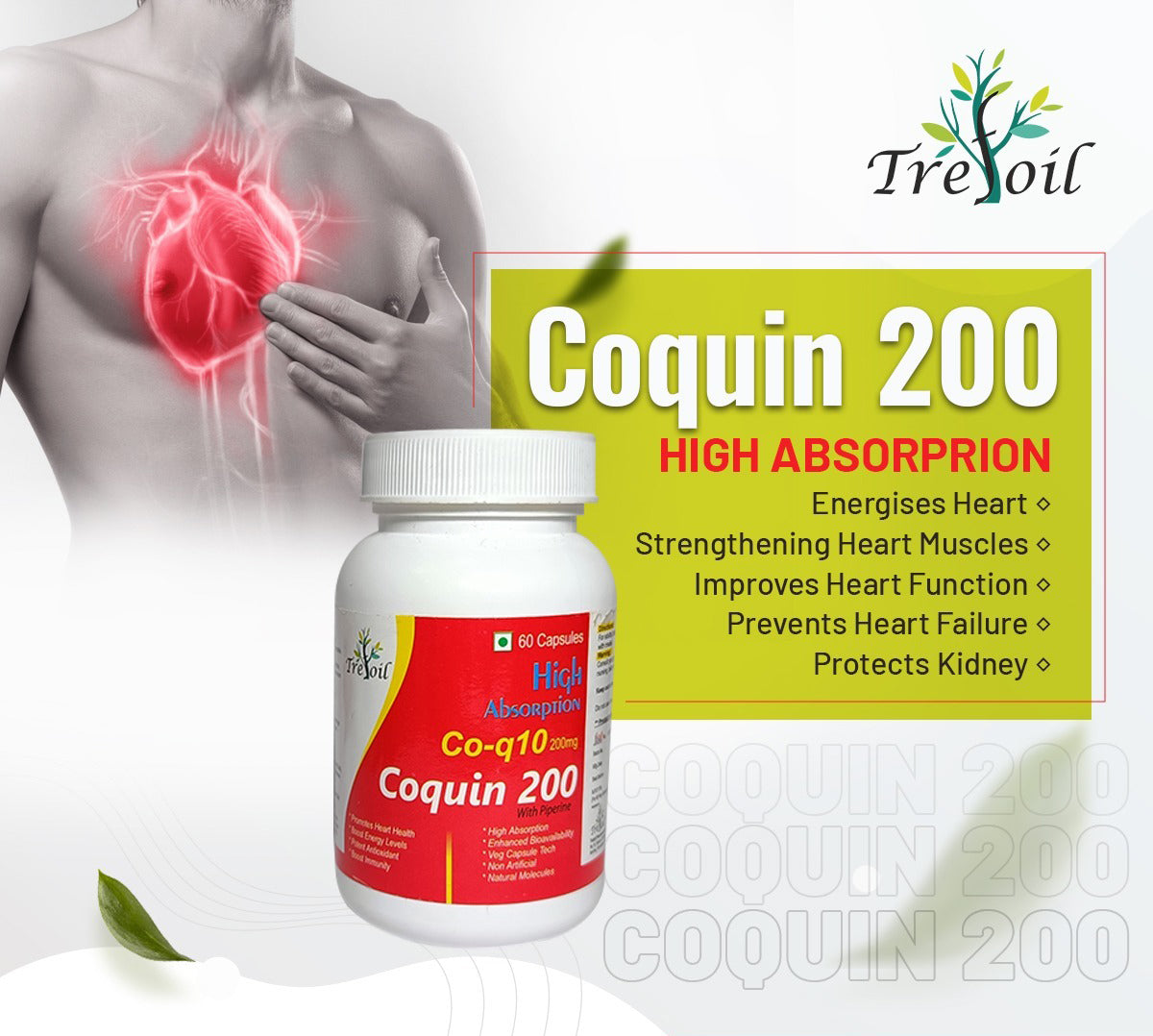 Coquin 200